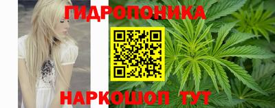 дурь Гатчина