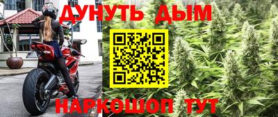 дурь Гатчина