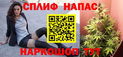 дурь Гатчина