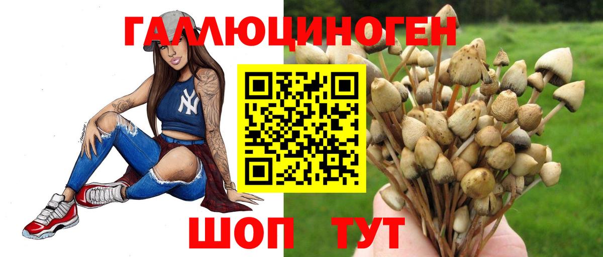 где купить   Галлюциногенные грибы MAGIC MUSHROOMS  Вход с VPN  Нефтеюганск 