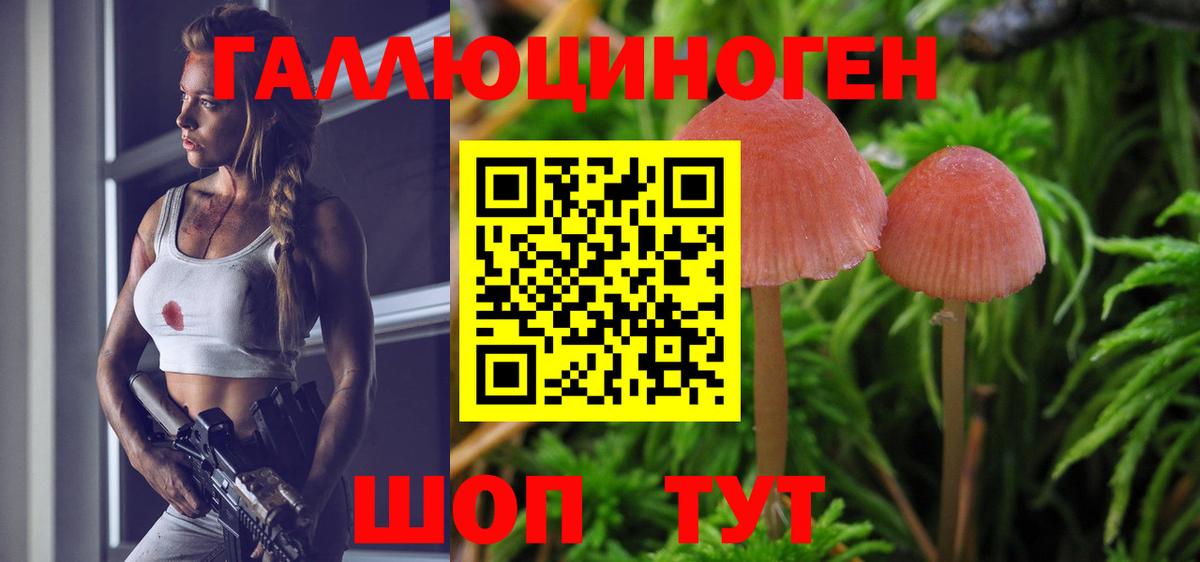 Псилоцибиновые грибы GOLDEN TEACHER Нефтеюганск